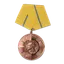 Gallantry Medal in Bronze (Tapferkeitsmedaille in Bronze)