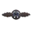 Day Fighter Operational Flying Clasp: Bronze Class (Frontflugspange für Tagjäger in Bronze)