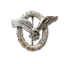 Pilots Badge (Flugzeugführerabzeichen)